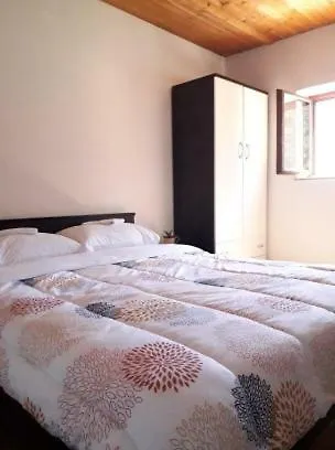 Number5 Apartment Ston